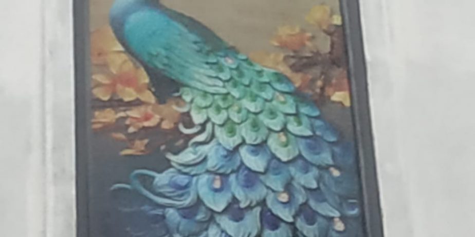 Acrylic-peacock